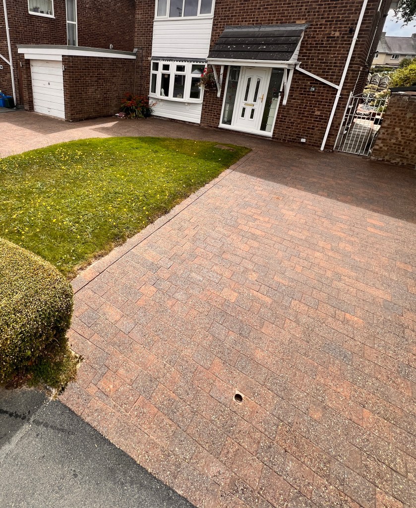 Portfolio image 6